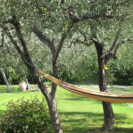 Alberto A By Interhome