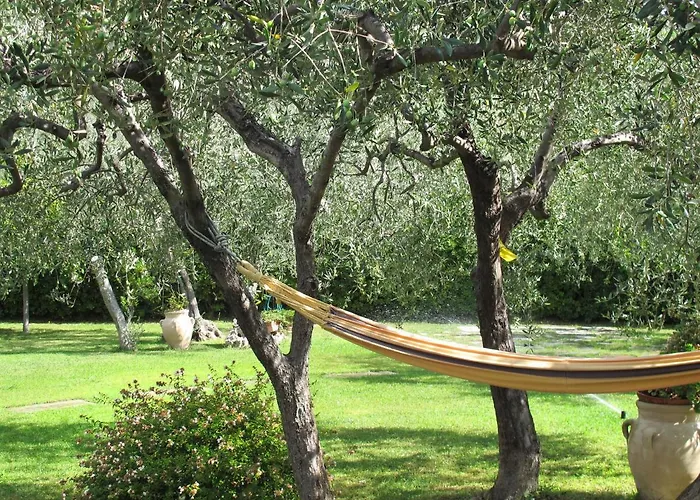 Alberto A By Interhome